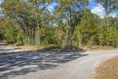 GUAVA PASS PL, Ocklawaha, FL, 32179 — photo 2