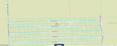 NE 243RD PLACE RD, Fort Mc Coy, FL, 32134 — photo 2