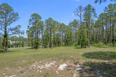 35408 PINEGATE Trail, Eustis, FL, 32736 — photo 2