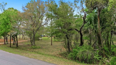 QUINLAN Street, Orlando, FL, 32833 — photo 2