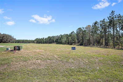 20280 SHORELINE RANCH Lane, Umatilla, FL, 32784 — photo 2