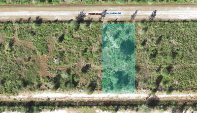 515 GAILLARDIA Drive, Indian Lake Estates, FL, 33855 — photo 2