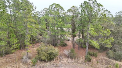 1256 WAHNETA Drive, Kissimmee, FL, 34759 — photo 2