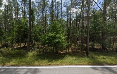 POYNER OAKS Road, Polk City, FL, 33868 — photo 2