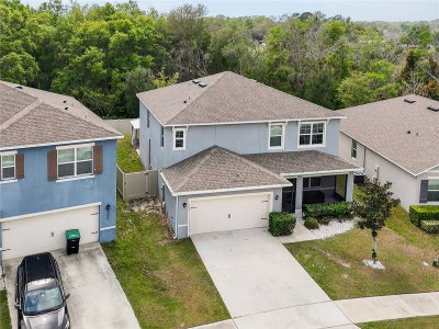 3759 CRIMSON CLOVER Drive, Mount Dora, FL, 32757 — photo 2