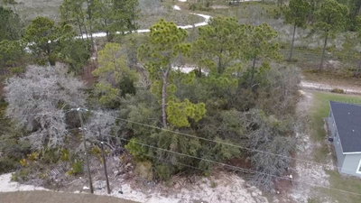 1226 APOPKA Lane, Kissimmee, FL, 34759 — photo 2