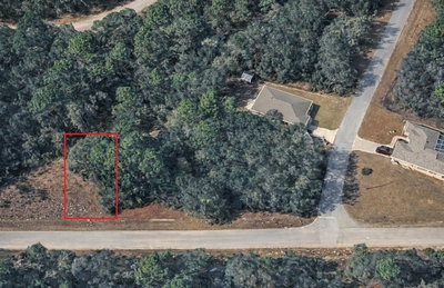 11328 CATHY Terrace, Dunnellon, FL, 34434 — photo 2