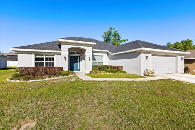 345 ASHTON WOODS Lane, Leesburg, FL, 34748 — photo 2