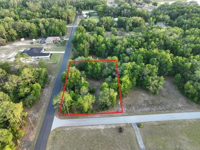 NORTH BEACH Road, Dunnellon, FL, 34431 — photo 2