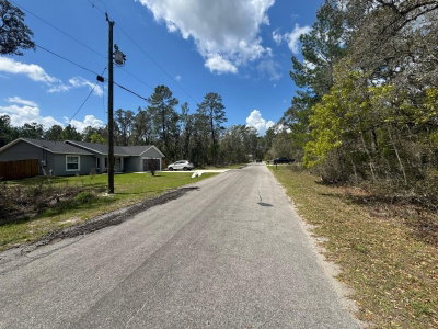 MALAUKA PASS CRSE, Ocklawaha, FL, 32179 — photo 2
