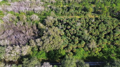 1219 ROSITA Street, Lehigh Acres, FL, 33974 — photo 2