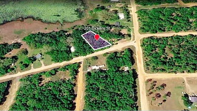 201 DICKENS Street, Interlachen, FL, 32148 — photo 2