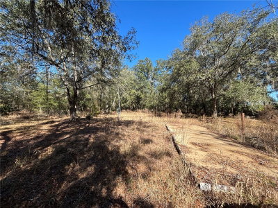 1077 HAMP FARMER Road, Lake City, FL, 32055 — photo 2