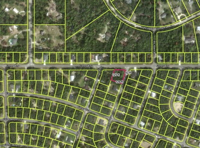 TBD FISHER WAY, Ocklawaha, FL, 32179 — photo 2
