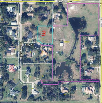 13125 FILLY Court, Windermere, FL, 34786 — photo 2