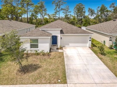 1312 PEACH CREEK Drive, Osteen, FL, 32764 — photo 2