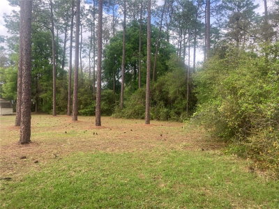 SE 19th Place SE 19TH PLACE, Silver Springs, FL, 34488 — photo 2