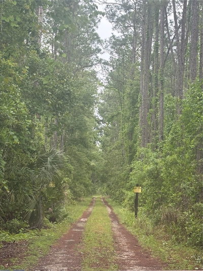 NO STREET, Deland, FL, 32724 — photo 2