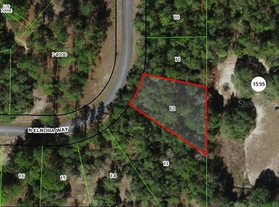 6477 ELNORA Way, Dunnellon, FL, 34433 — photo 2