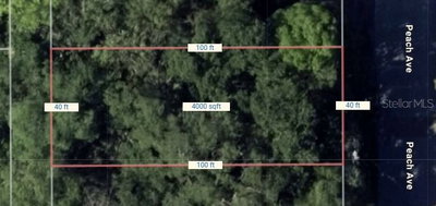 PEACH Avenue, Sanford, FL, 32771 — photo 2