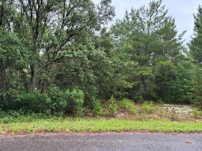 16 FISHER COURT Way, Ocklawaha, FL, 32179 — photo 2