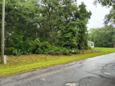 11 FISHER WAY COURSE, Ocklawaha, FL, 32179 — photo 2
