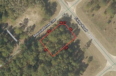 200 FISHER ROAD, Ocklawaha, FL, 32179 — photo 2