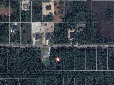 APRICOT Avenue, Eustis, FL, 32736 — photo 2