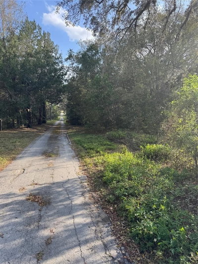 STATE ROAD 44, Eustis, FL, 32726 — photo 2