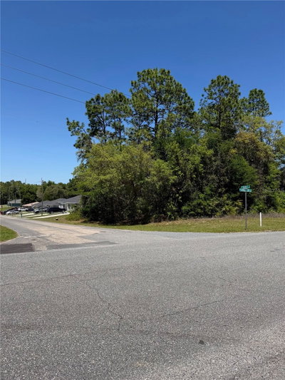 8975 TRAVIS Drive, Citrus Springs, FL, 34434 — photo 2