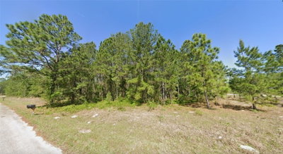33 SEQUOIA DRIVE Lane, Ocklawaha, FL, 32179 — photo 2