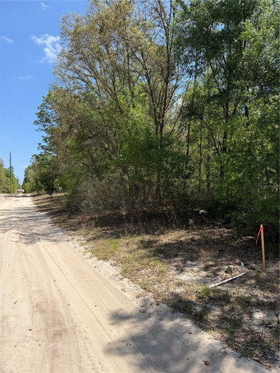 118TH Lane, Bronson, FL, 32621 — photo 2