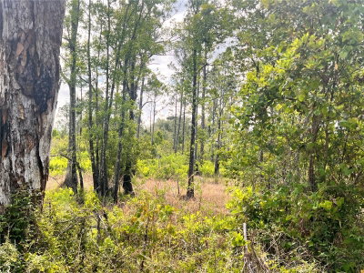 BANYAN Street, Eustis, FL, 32736 — photo 2