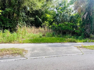 TBD CELERY Avenue, Sanford, FL, 32771 — photo 2