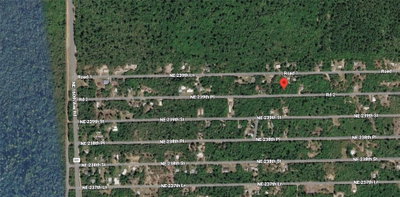 NE 239TH PL, Fort Mc Coy, FL, 32134 — photo 2