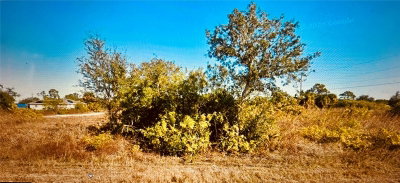 3333 MEADOW Road, Lehigh Acres, FL, 33974 — photo 2