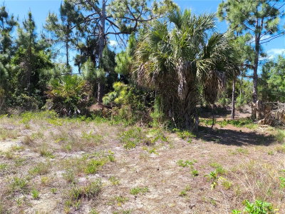 12289 CLARENDON Avenue, Port Charlotte, FL, 33981 — photo 2