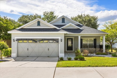 20934 SULLIVAN RANCH Boulevard, Mount Dora, FL, 32757 — photo 2