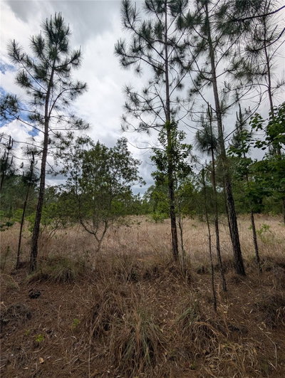 38521 ILEX Trail, Eustis, FL, 32736 — photo 2