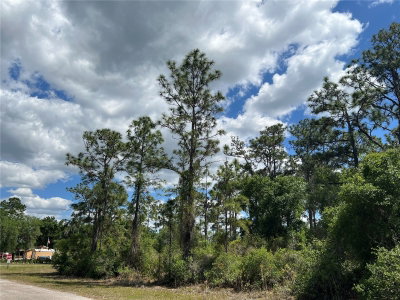 901 AZALEA Drive, Indian Lake Estates, FL, 33855 — photo 2