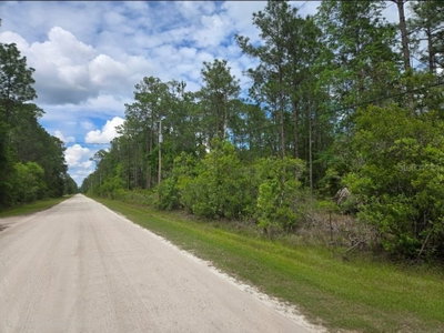 1747 CANDLEBERRY Street, Bunnell, FL, 32110 — photo 2