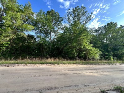 DECKER STREET LOT 12 13, Interlachen, FL, 32148 — photo 2