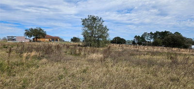 24207 TURKEY LAKE Road, Howey in the Hills, FL, 34737 — photo 2