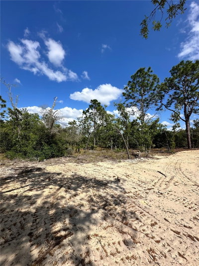 3239 KIRKWOOD Place, Dunnellon, FL, 34433 — photo 2