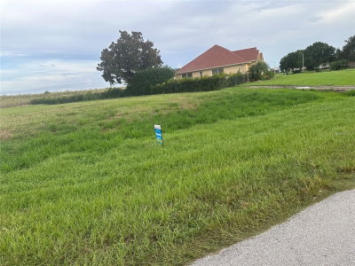 529 SUNSET POINTE Drive, Lake Placid, FL, 33852 — photo 2