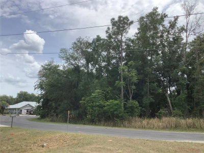 BAHIA CIRCLE Lane, Ocala, FL, 34472 — photo 2