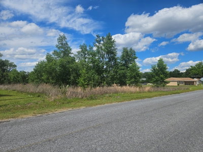 140TH Street, Summerfield, FL, 34491 — photo 2