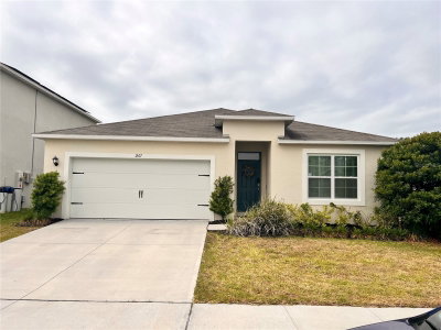 1267 IGUANA Loop, Davenport, FL, 33897 — photo 2