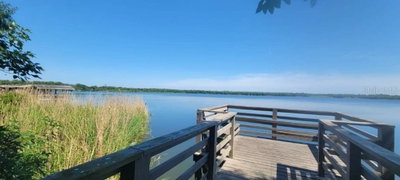 268 TAVESTOCK Loop, Winter Springs, FL, 32708 — photo 2