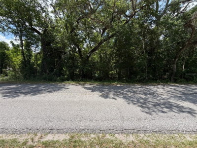 CR 656, Webster, FL, 33597 — photo 2